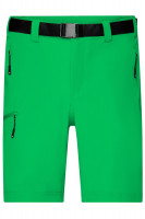 Fern-green (ca. Pantone 342C)