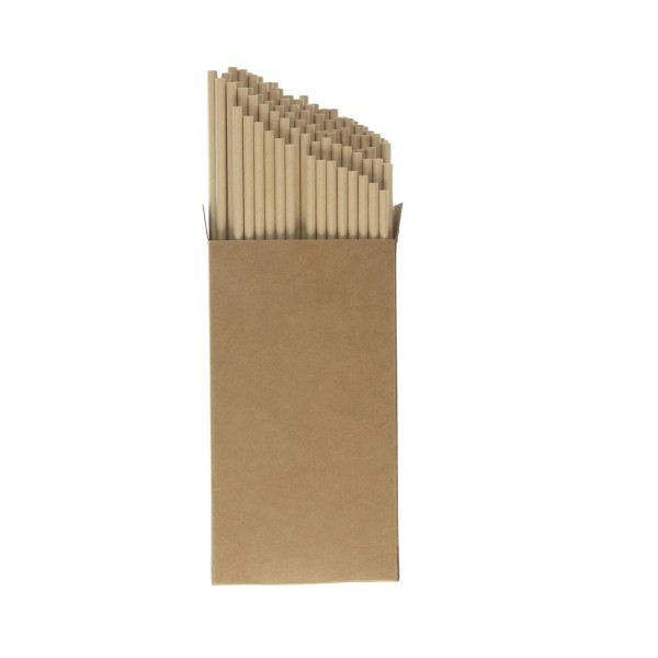 Papierstrohhalm 100er Set